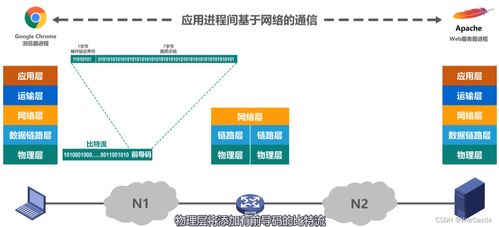 计算机网络体系结构